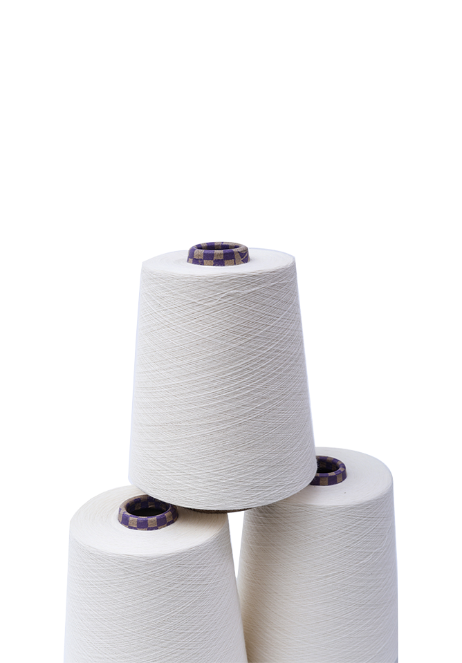 Nantong Double Great Textile Co., Ltd.